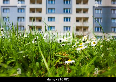 Dresden prefabricated building refurbishment Stock Photo