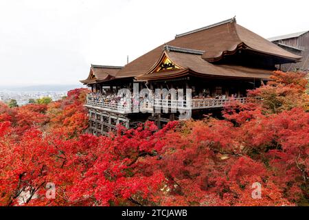KYOTO/JAPAN - November 26, 2023:People crowd the kiyomizu dera temple, beautiful red Japanese maple trees Stock Photo