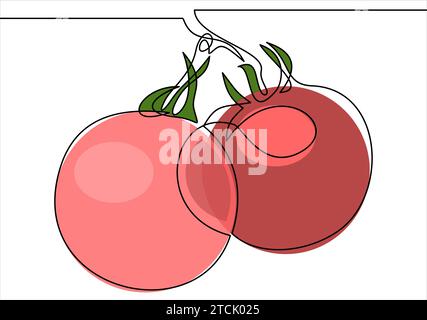 continuous single drawn one line tomatoes Stock Vector