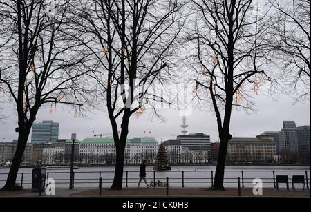 Hamburg, Germany. 13th Dec, 2023. A passer-by walks along the Binnenalster past trees lit up for Christmas. The Alster fir tree glows in the background. Credit: Marcus Brandt/dpa/Alamy Live News Stock Photo