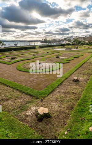 Torquay, UK. 13th Dec, 2023. Torbay council face criticism for felling the iconic palm trees from the seafront Italian Gardens. Tree stumps left. Credit: Thomas Faull/Alamy Live News Stock Photo