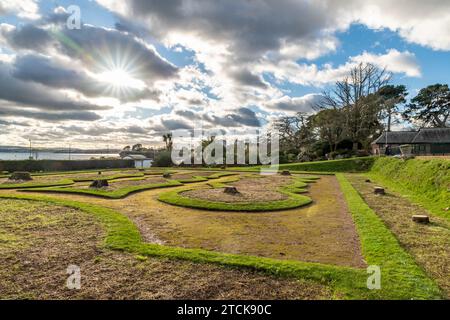 Torquay, UK. 13th Dec, 2023. Torbay council face criticism for cutting down the iconic palm trees from the seafront Italian Gardens. Tree stumps left. Credit: Thomas Faull/Alamy Live News Stock Photo