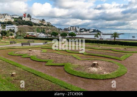 Torquay, UK. 13th Dec, 2023. Torbay council face criticism for felling the iconic palm trees from the seafront Italian Gardens. Tree stumps left. Credit: Thomas Faull/Alamy Live News Stock Photo