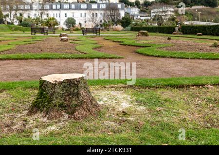 Torquay, UK. 13th Dec, 2023. Torbay council face criticism for felling the iconic palm trees from the seafront Italian Gardens. Tree stumps left. Credit: Thomas Faull/Alamy Live News Stock Photo