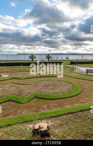 Torquay, UK. 13th Dec, 2023. Torbay council face criticism for cutting down the iconic palm trees from the seafront Italian Gardens. Tree stumps left. Credit: Thomas Faull/Alamy Live News Stock Photo