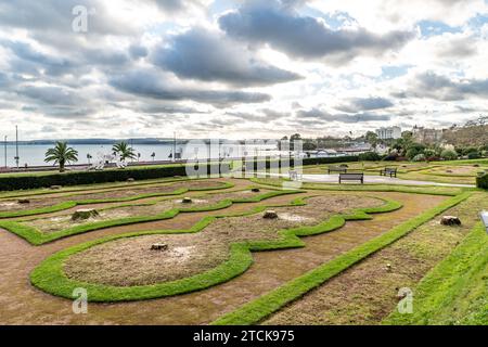 Torquay, UK. 13th Dec, 2023. Torbay council face criticism for felling the iconic palm trees from the seafront Italian Gardens. Tree stumps left. Credit: Thomas Faull/Alamy Live News Stock Photo