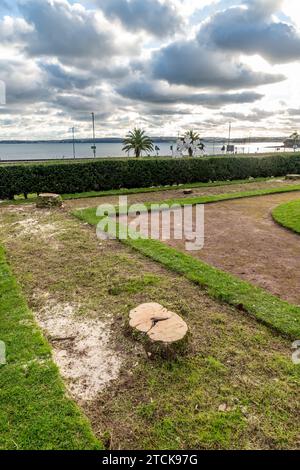 Torquay, UK. 13th Dec, 2023. Torbay council face criticism for felling the iconic palm trees from the seafront Italian Gardens. Tree stumps left. Credit: Thomas Faull/Alamy Live News Stock Photo