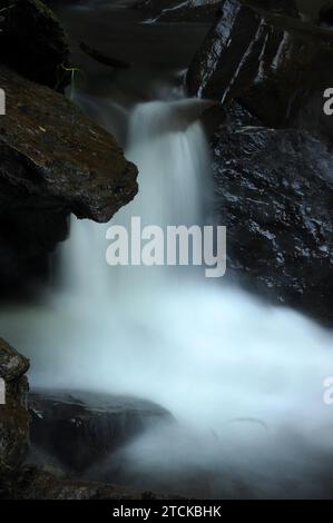 Melincourt Brook just below Melincourt Falls. Stock Photo