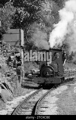 'Elidir' shunting at Gilfach Ddu. Stock Photo