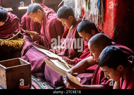 Young Tibetan monks  reads sacred scripture.  Tashi-Lhunpo Monastery, Shigatse, Tibet. China. Stock Photo