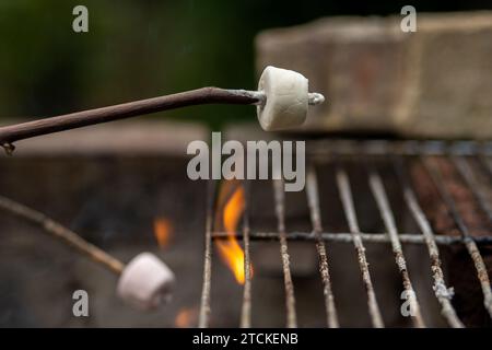 Marshmallows on a stick above open flame Stock Photo