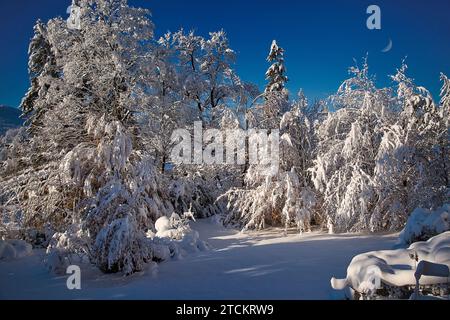 DE - BAVARIA:  Winter scene along river Isar at Bad Toelz, Oberbayern  (Photography be owner Edmund Nagele FRPS) Stock Photo
