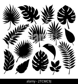 Set of tropical leaves in silhouettes. Different leaf collection. Jungle forest flora. Palm, monstera, banana tree isolated on white background Stock Vector