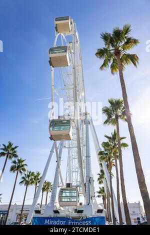 Giant Ferris Wheel Mirador Princess, Panoramic viewpoint between palm trees in Puerto Marina, Benalmadena, Mal Stock Photo