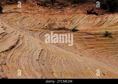 swooping striped. red and yellow rocks, zion national park, utah Stock Photo