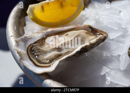 Eating of fresh live oysters at farm cafe in oyster-farming village, Arcachon bay, Cap Ferret peninsula, Bordeaux, France, close up Stock Photo