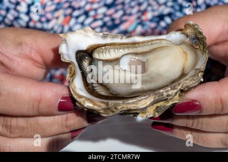 Eating of fresh live oysters at farm cafe in oyster-farming village, Arcachon bay, Cap Ferret peninsula, Bordeaux, France, close up Stock Photo