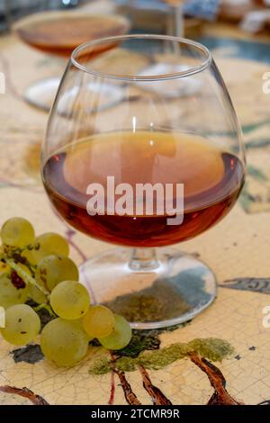 Pineau vineyard of the Cognac region France Stock Photo - Alamy