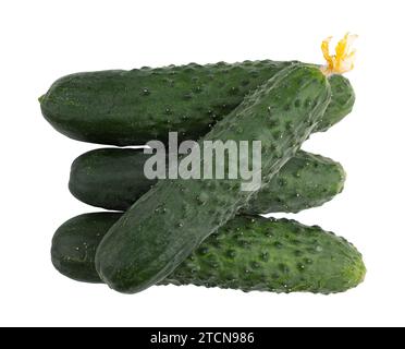 pile of fresh raw cucumbers isolated on white background with clipping path Stock Photo