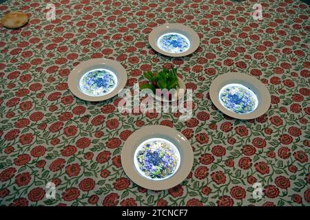 Virtual meal projected into plates on a table, Dining With The Sultan: The Fine Art of Feasting, exhibition, Los Angeles County Museum of Art, LACMA, museum, Islamic, art, Los Angeles, California, USA Stock Photo