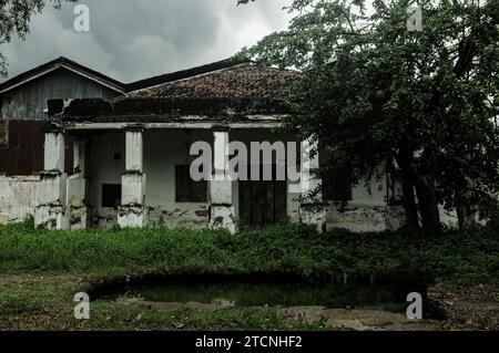 the front yard of an empty house that has been left in a state of disrepair and unkempt Stock Photo