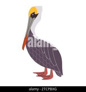 brown pelican animal have wing and neck with long beak wild nature water bird fauna environment Stock Vector