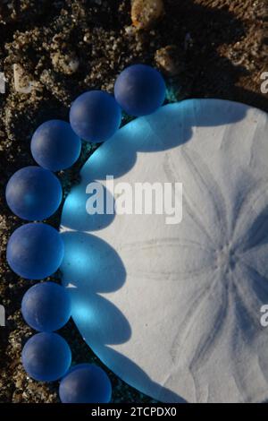 Original art by me. White Sand Dollar with sun shinning thru Blue marbles on the beach. Stock Photo