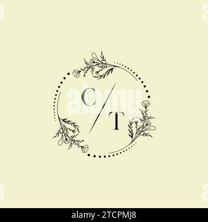 CT wedding initial logo letters in high quality professional design that will print well across any print media Stock Vector