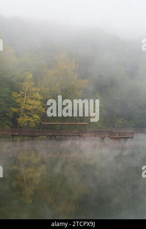 Lake Vesuvius Recreation Area at Wayne National Forest in Ohio Stock Photo