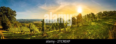 Landscape panorama view of vineyard on an Austrian in Kitzeck im Sausal Leibnitz. Tourist destination Stock Photo