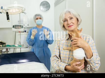 Positive woman standing with chihuahua in examination room of veterinary clinic Stock Photo