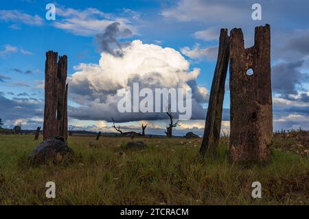 A low angle view of rustic weathered fenceposts with a dramatic thunderhead overhead at Joyces Creek in Central Victoria, Australia. Stock Photo