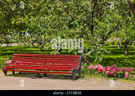 Park bench under blossoming apple trees in Kolomenskoye estate. Moscow, Russia. Stock Photo
