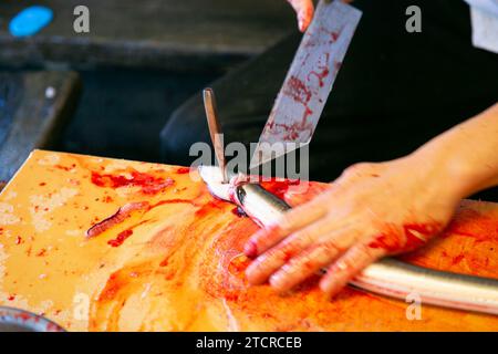 Japanese chef preparing and cleaning an eel. Grilled smoked eel is the most traditional food in Narita, Chiva, Japan. Stock Photo