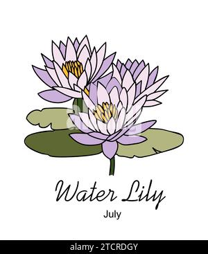 Water Lily, July birth month flower vector art. Stock Vector