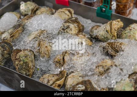 Fresh opened oyster offered as top view on crushed ice. Stock Photo