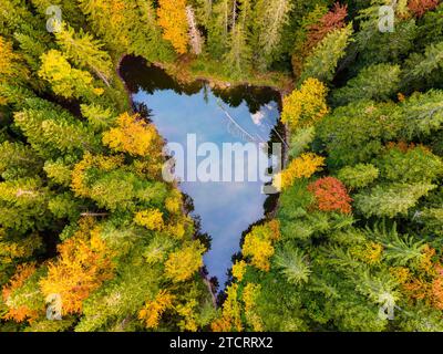 Aerial shot of the Eibsee in Bavaria, Germany. High quality photo. Heart shaped lake. Stock Photo