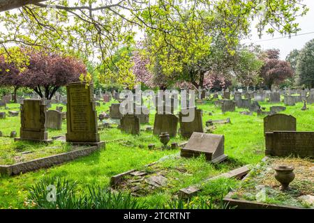 Twickenham Cemetery during the spring flowering of its trees. Stock Photo