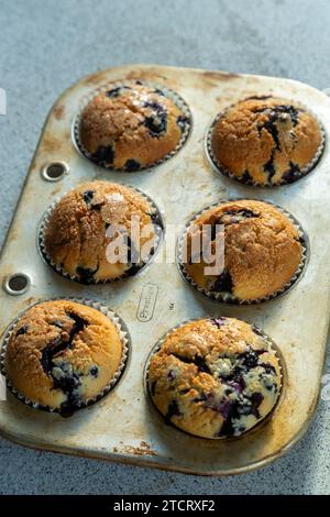 Homemade Blueberry Muffins Stock Photo