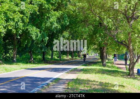 Seoul, South Korea - June 3, 2023: A cyclist journeys along a tree-lined bike path in Mangwon Hangang Park, with a separate walking trail bustling wit Stock Photo