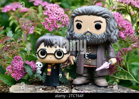 Funko Pop action figures of Harry Potter with owl and gamekeeper half-giant Hagrid with umbrella. Pink flowers, forest glade, tree stump, magical. Stock Photo