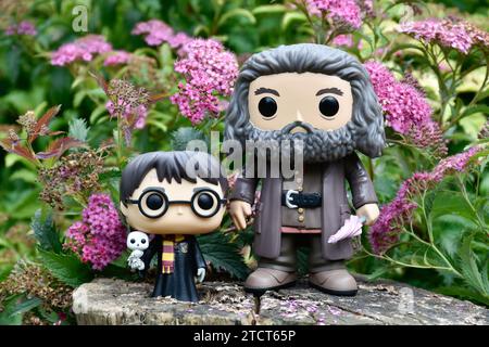 Funko Pop action figures of Harry Potter with owl and gamekeeper half-giant Hagrid with umbrella. Pink flowers, forest glade, tree stump, magical. Stock Photo