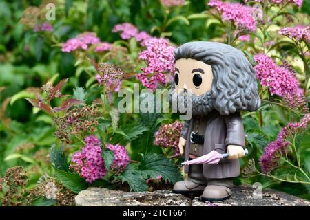 Funko Pop action figure of gamekeeper half-giant Hagrid with umbrella from fantasy movie Harry Potter. Pink flowers, forest glade, tree stump. Stock Photo