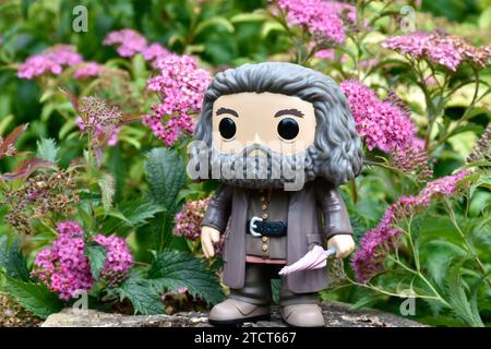 Funko Pop action figure of gamekeeper half-giant Hagrid with umbrella from fantasy movie Harry Potter. Pink flowers, forest glade, tree stump. Stock Photo