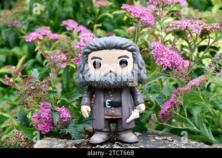 Funko Pop action figure of gamekeeper half-giant Hagrid with umbrella from fantasy movie Harry Potter. Pink flowers, forest glade, tree stump. Stock Photo