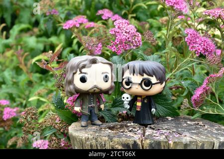 Funko Pop action figures of Harry Potter with owl and wizard Sirius Black standing on tree stump. Pink flowers, forest glade, wizarding world. Stock Photo
