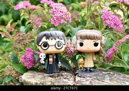 Funko Pop action figures of Harry Potter and Hermione Granger. Pink flowers, forest glade, magical woods, wizarding world, friendship. Stock Photo
