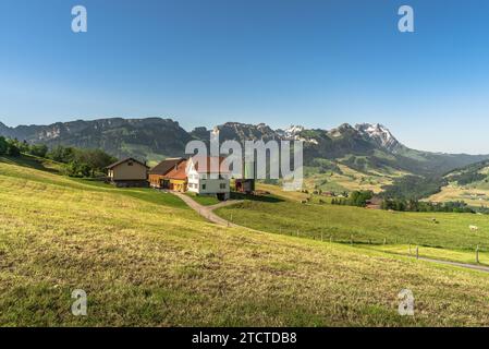 Lonely farm house in the Appenzell Alps, grazing cows on a green meadow, view to the Alpstein mountains with Saentis, Canton of Appenzell Innerrhoden, Stock Photo