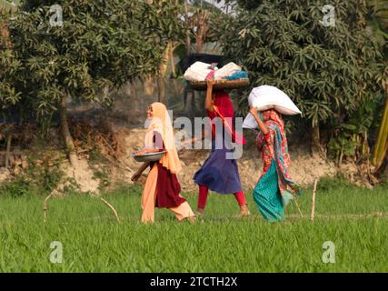Bangladesh rural happy farmer standing in field Stock Photo