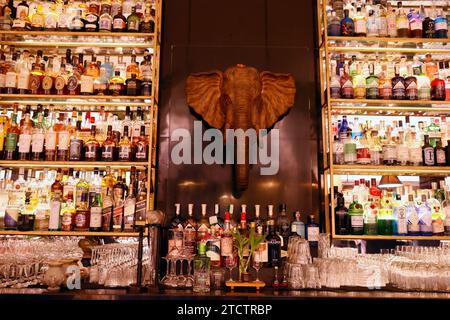 Elephant Bar at the Raffles Hotel Le Royal. Stock Photo